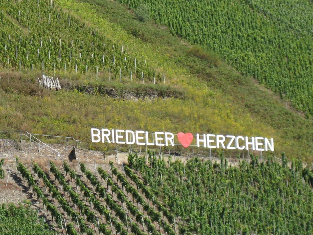 Weingut Goeres Hotel Briedel Phòng bức ảnh